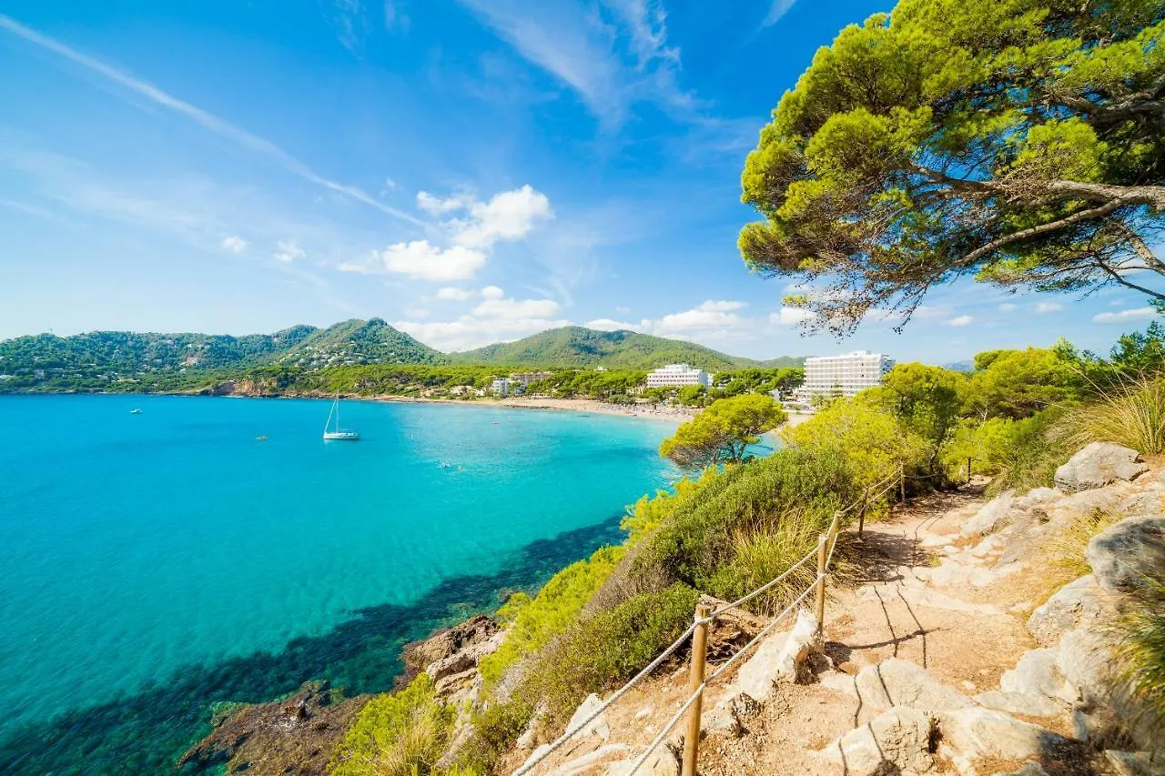 Apartaments Sa Torre By Sureda Mas Canyamel  Spanje